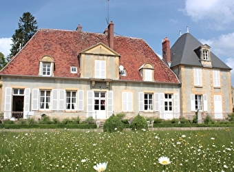Chateau de Nyon - VAUX D'AMOGNES