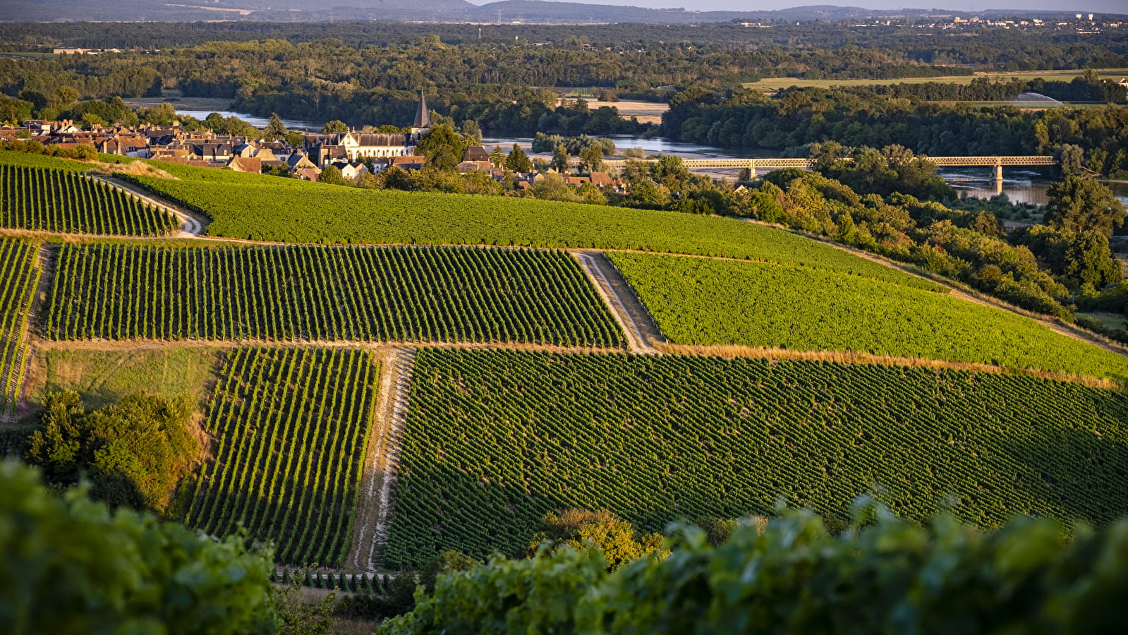 Yoga et Vins