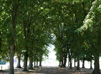 Promenade des Halles - DECIZE