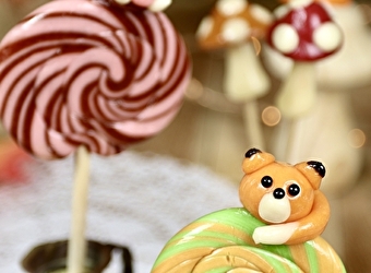 Au pays des sucreries - ROUY