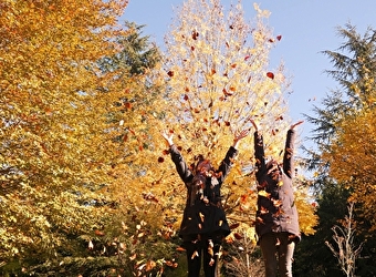 Arboretum Adeline - LA CHAPELLE-MONTLINARD