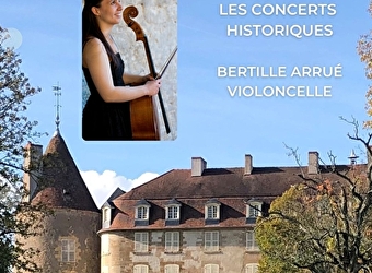 Visite musicale du Château de Dumphlun - BILLY-CHEVANNES