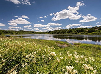Sentier de découverte de l'étang Taureau - SAINT-BRISSON