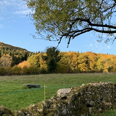 Gite Le Nid du Morvan