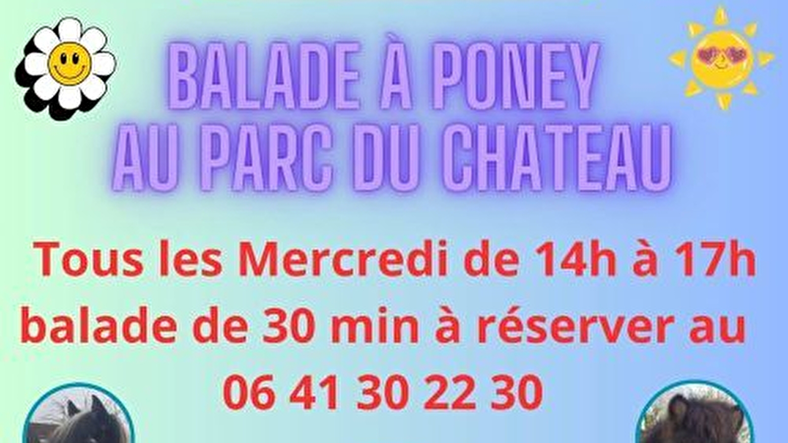 Balade à poneys au château