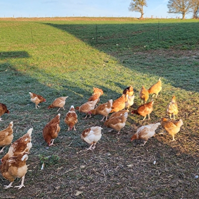 La Ferme de Jessi