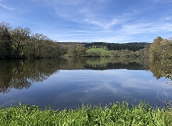 Vers les pâtures du sud Morvan  - SAINT-LEGER-SOUS-BEUVRAY