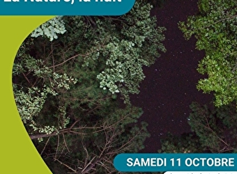 Sortie 'La Nature la nuit' - DONZY
