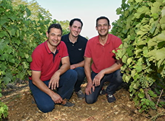 Domaine de Villargeau - POUGNY
