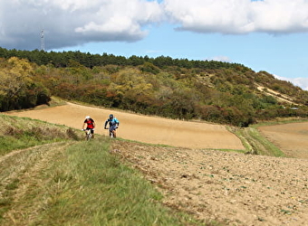 Circuit VTT n° 3 Vert de Varzy - VARZY