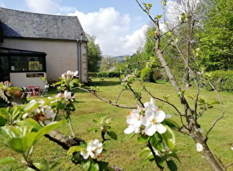 Le Lavoir - SAINT BRISSON