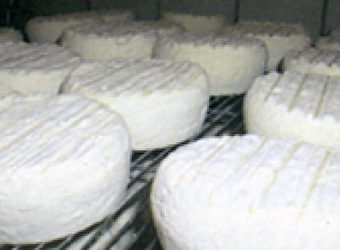 Fromagerie de Neuftables - LUTHENAY-UXELOUP