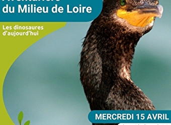 Les Aventuriers du Milieu de Loire - Journée nature pour les 6-12 ans spéciale 'Les dinosaures d'aujourd'hui' - POUILLY-SUR-LOIRE