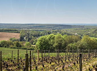 Domaine de la Coquillerie - NANNAY