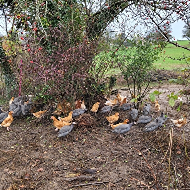 La Ferme de Jessi