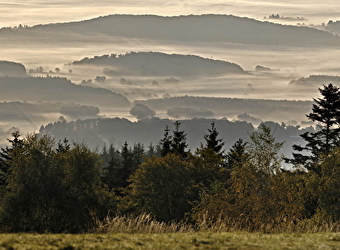 Vers les Bois du Folin - SAINT-LEGER-SOUS-BEUVRAY