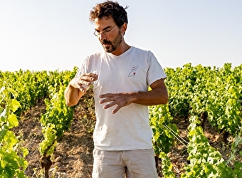 Domaine de la Chasseigne - POUGNY