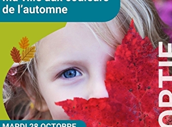 Sortie-atelier 'Ma ville aux couleurs de l'automne' - COSNE-COURS-SUR-LOIRE