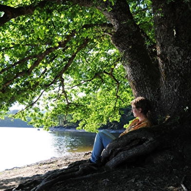NATURA TELLAE