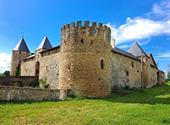 Visite du Château Médiéval de Villars - SAINT-PARIZE-LE-CHATEL