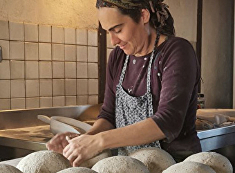 Du grain au pain, du champ au fournil ! - CHAMPVERT