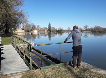 Randonnée à Avril-sur-Loire / Boucle de Forge Neuve - AVRIL-SUR-LOIRE