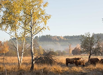 Sentier des prairies de Montour - BRASSY