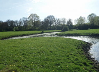 Parcours de pêche de la Vrille - NEUVY-SUR-LOIRE
