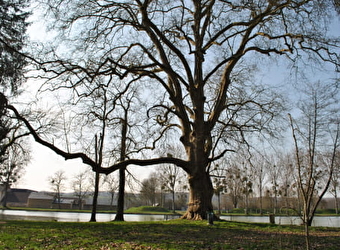 Promenade Jean-Pierre Harris - GUERIGNY