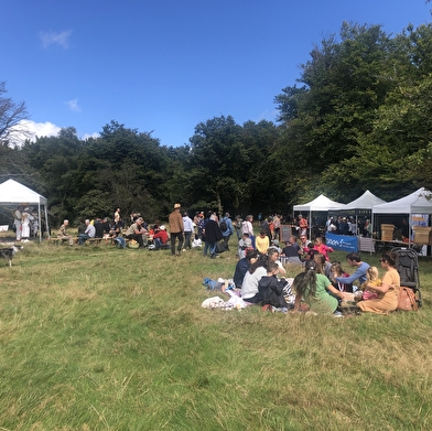 Fantastic Picnic à Bibracte