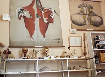 Musée de la Chirurgie Pr Christian Cabrol - MYENNES