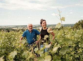 Minet Régis - POUILLY-SUR-LOIRE