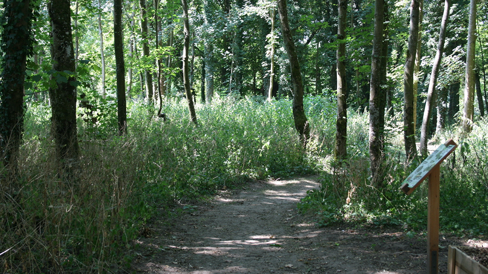 Sentier sensoriel de l'île de Caqueret
