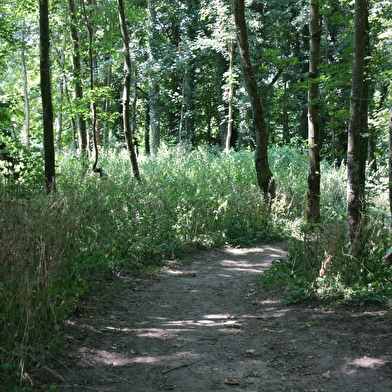 Sentier sensoriel de l'île de Caqueret