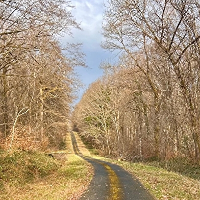 En forêt autour de Cessy-les-Bois