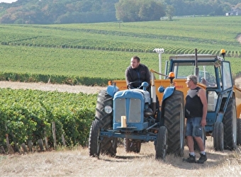 Domaine du Petit Soumard - SAINT-ANDELAIN