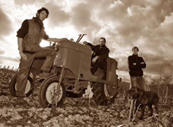 Domaine Michel Redde et Fils - SAINT-ANDELAIN
