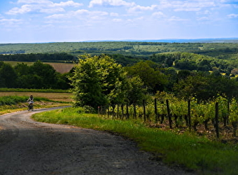 Fûts et Vignobles - Les Bertranges à vélo - MURLIN