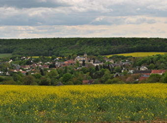 Collines et Bertranges - 1 - CHAULGNES