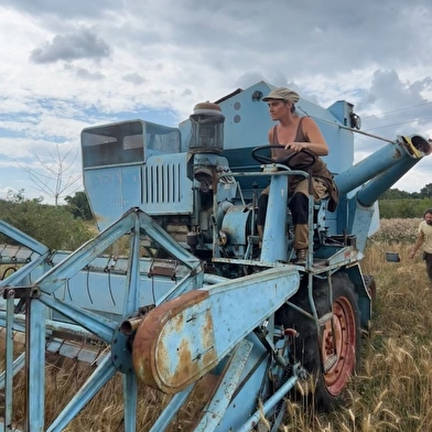 Du grain au pain, du champ au fournil !