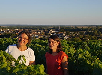 Domaine Tinel-Blondelet - POUILLY-SUR-LOIRE