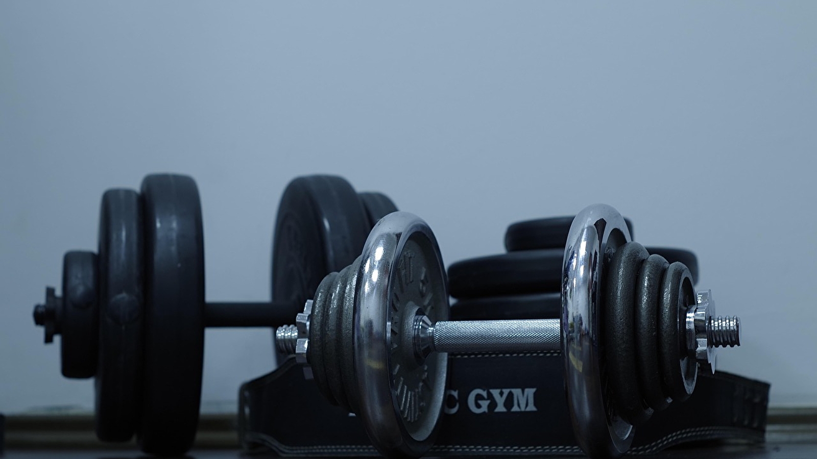 Concours de musculation