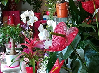 Esprit de fleurs - CHATILLON-EN-BAZOIS