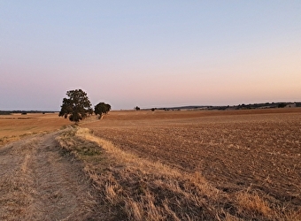 Randonnée à Thianges / Boucle de la Motte - THIANGES
