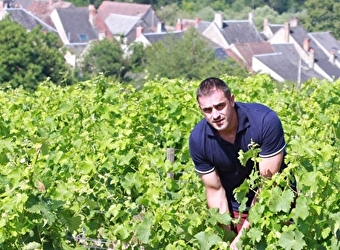 Domaine Jean-Pierre Bailly - TRACY-SUR-LOIRE