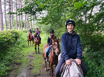 Ferme Equestre Gateau Stables : séjour linguistique-équitation et balades et leçons à poney et cheval - SAINT AMAND EN PUISAYE