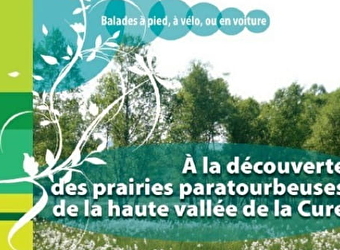 A la découverte des prairies paratourbeuses de la haute vallée de la Cure - MONTSAUCHE-LES-SETTONS