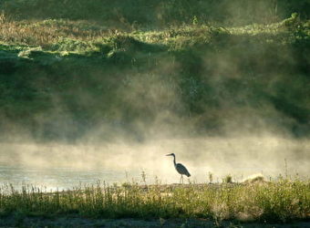 La Réserve Naturelle du Val de Loire - LA CHARITE SUR LOIRE