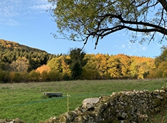 Gite Le Nid du Morvan - BRASSY