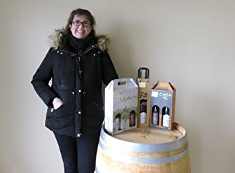 Domaine de Breugnon - SAINT-ANDELAIN